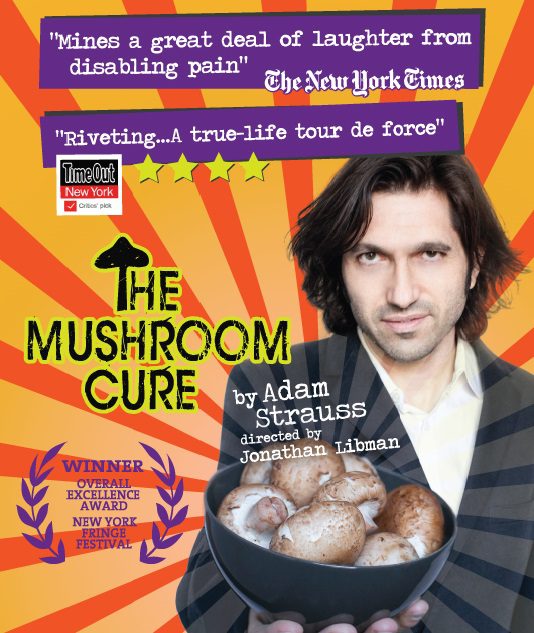 The Mushroom Cure Poster